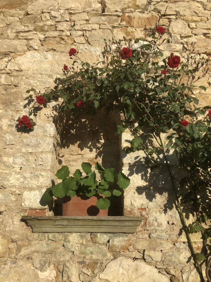 Mea Casa Toscana Castellina in Chianti Exterior photo