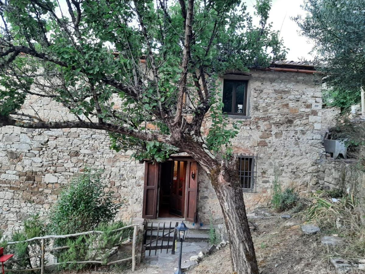 Mea Casa Toscana Castellina in Chianti Exterior photo
