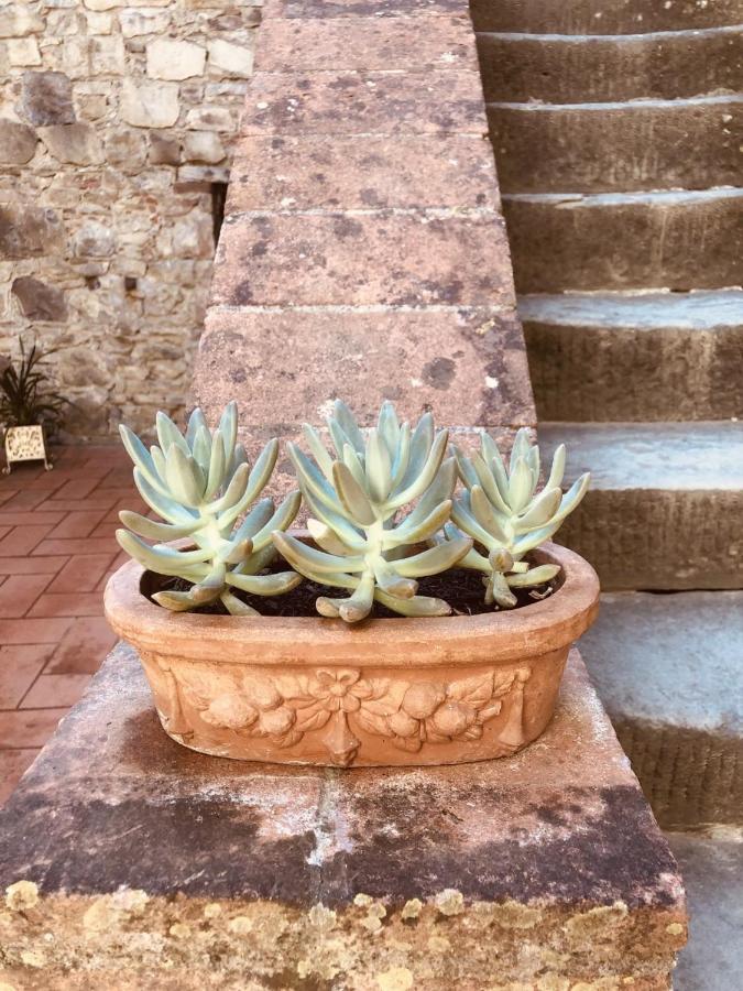 Mea Casa Toscana Castellina in Chianti Exterior photo